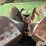 john-deere-844-image-18