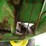 john-deere-500-image-21