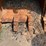 24"-4-tooth-excavator-bucket-image-4