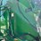 2023-john-deere-560m-image-17