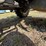 honda-trx450s-image-21