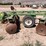john-deere-425-image-32