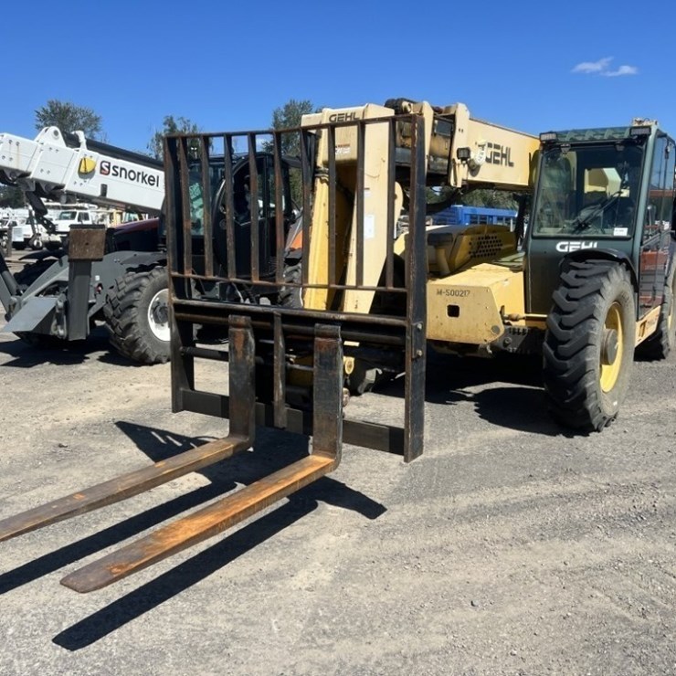 2010 GEHL DL11-44