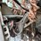 #49-•-#25354-•-inop-2008-international-ma025-s/a-daycab-waste-truck-1htmmaanx8h659094-image-35