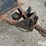 deutz-10162307-power-unit-image-13
