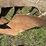 oliver-404-13”-walking-plow-image-18