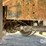 1999-ihc-8100-flatbed-truck-(gp11125,-unit-17355)-image-39