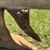 oliver-404-13”-walking-plow-image-16