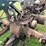 #6682-•-1946-john-deere-parts-tractor-image-13