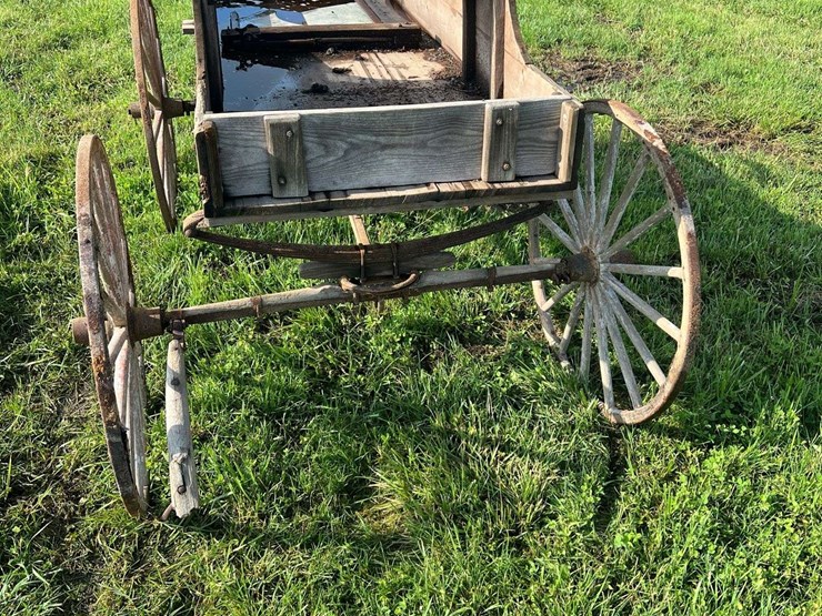 horse-drawn-buggy-image-6