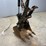 2022-bobcat-e35-image-9