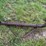 (2)-oliver-widefront-ends-image-3