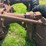 massey-ferguson-4-image-14
