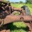 massey-ferguson-4-image-32