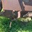 massey-ferguson-4-image-25