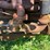 massey-ferguson-4-image-15