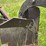 2-bottom-plow-image-22