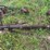(2)-oliver-widefront-ends-image-6