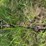 2-bottom-plow-image-7
