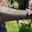 massey-ferguson-4-image-52