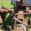 massey-ferguson-4-image-49