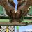 2019-john-deere-712c-image-15