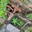 massey-harris-no.-33-sickle-mower-image-11
