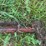 (2)-oliver-widefront-ends-image-10