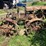 massey-ferguson-4-image-6