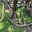 2-bottom-plow-image-9