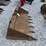 takeuchi-72"-skid-steer-tooth-bucket-image-6