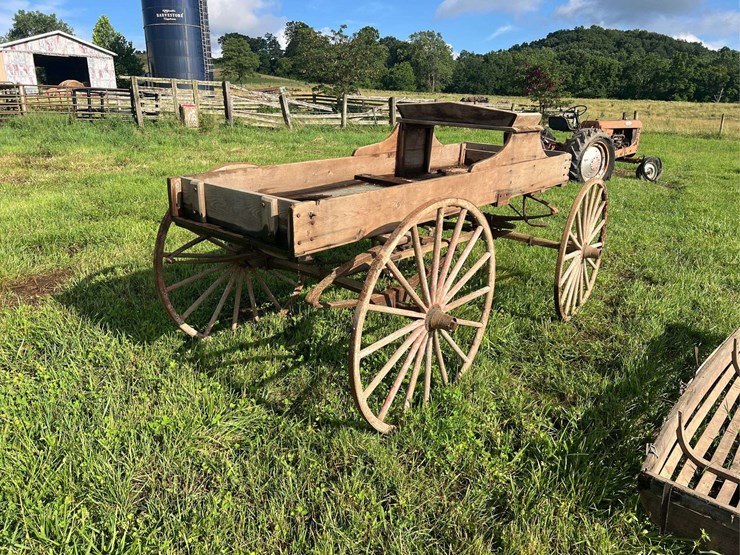 horse-drawn-buggy-image-3