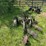 2-bottom-plow-image-3