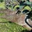 oliver-3-bottom-plow-image-16