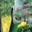 john-deere-la-image-21