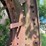 oliver-cut-off-steel-wheels-image-8
