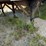 2000-fruehauf-trailer-image-5