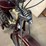 whizzer-bicycle-image-14