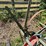 oliver-horse-drawn-cultivator-image-20