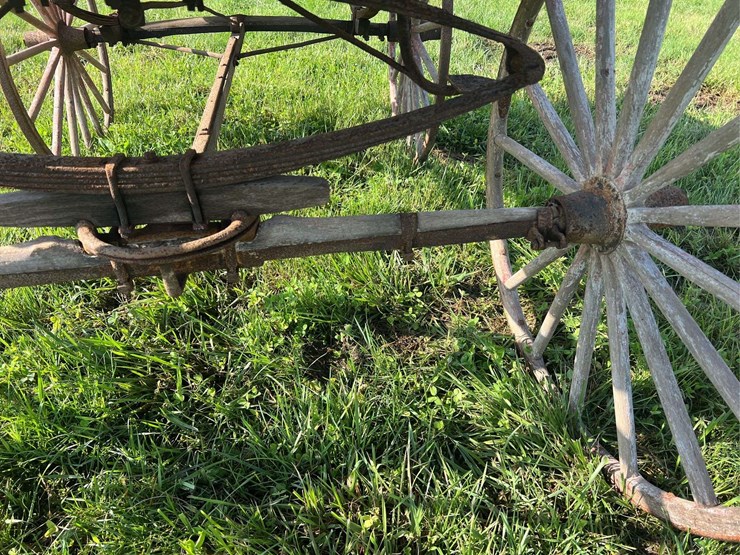 horse-drawn-buggy-image-10