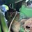 john-deere-la-image-37
