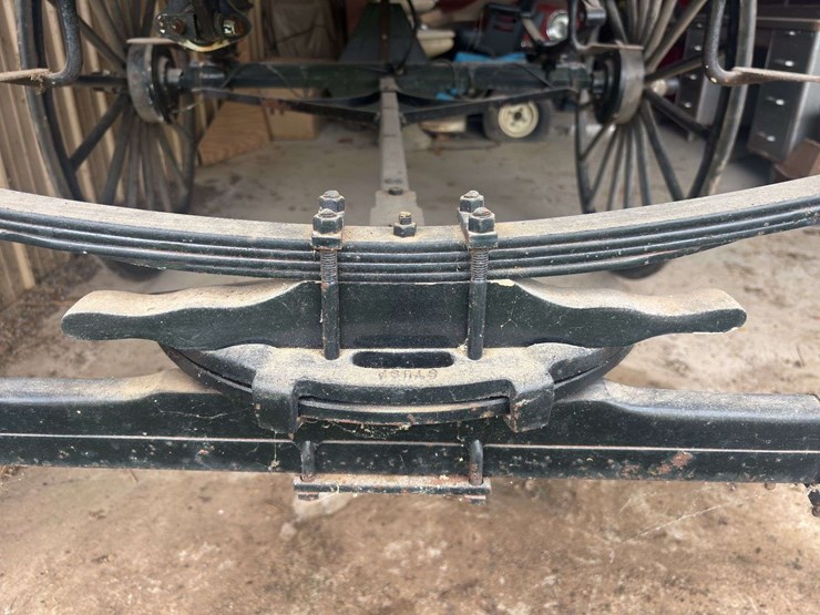 david-williams-2-seater-buggy-image-8