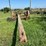 oliver-horse-drawn-sickle-mower-image-25