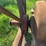 oliver-horse-drawn-sickle-mower-image-20