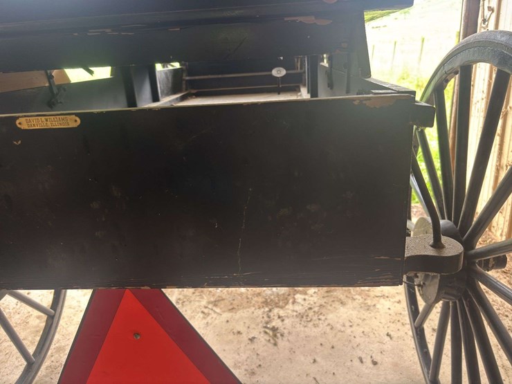 david-williams-2-seater-buggy-image-35