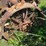 massey-ferguson-4-image-27