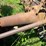 massey-ferguson-4-image-23