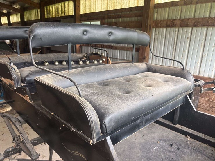 david-williams-2-seater-buggy-image-54