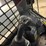 2022-bobcat-t76-image-31