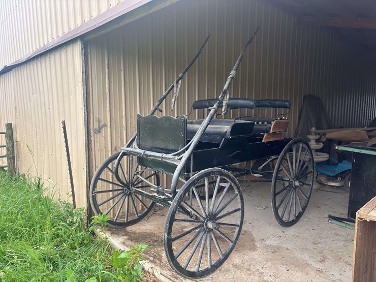 david-williams-2-seater-buggy-image-1